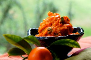 Asian inspired carrot, pumpkin and kumquat dip (low FODMAP, gluten free, vegan)