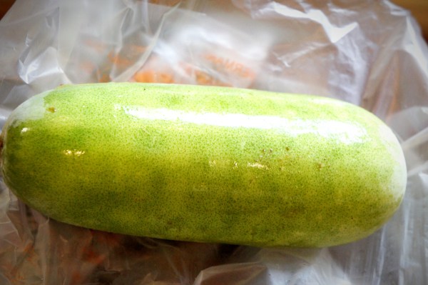 Chinese winter melon