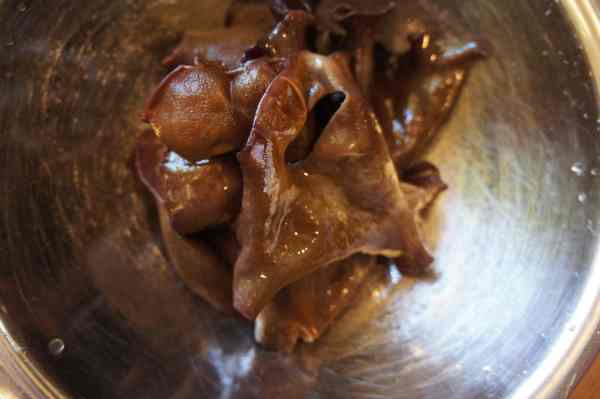 Wood ear fungus - being rehydrated