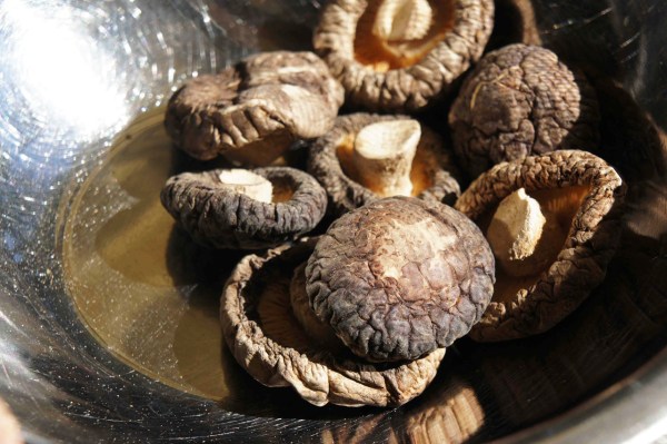 Chinese mushroom to be hydrated