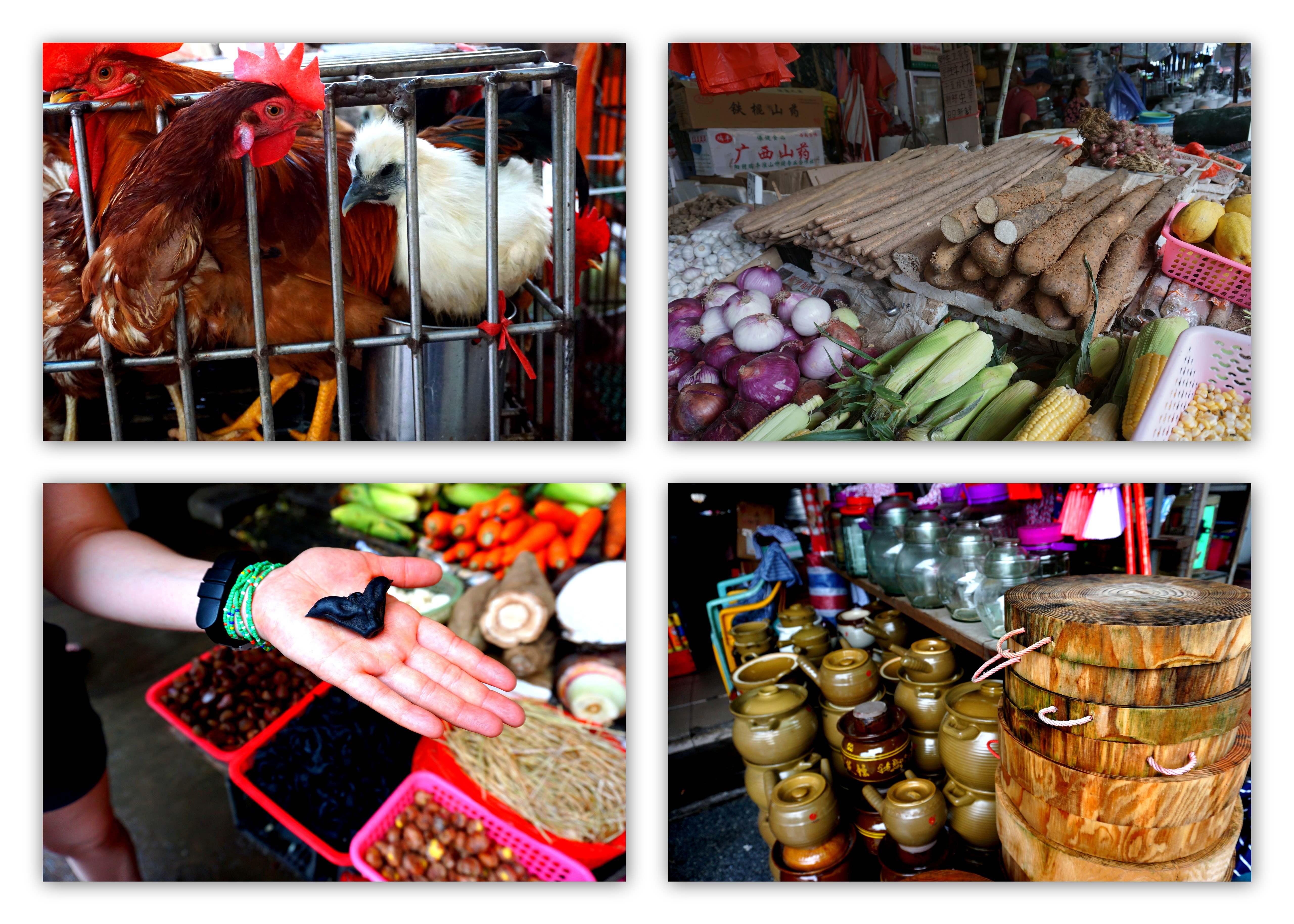 Magical ZhongShan town - ancestral villages 家鄉